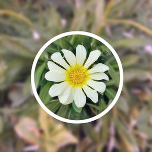 免费性交动态图
