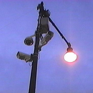 免费性交动态图
